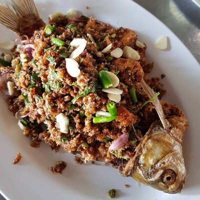 ครัวกรกนก(Kornkanok Kitchen&Restaurant) (ครัวกรกนก) ครัวกรกนก(Kornkanok Kitchen&Restaurant) (ครัวกรกนก)