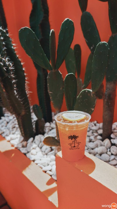 ชาผลไม้