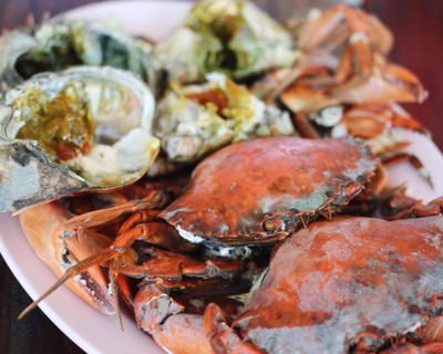 ปูทะเลไข่นึ่ง