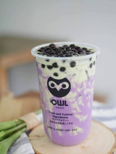 OWL CHA เมืองภูเก็ต