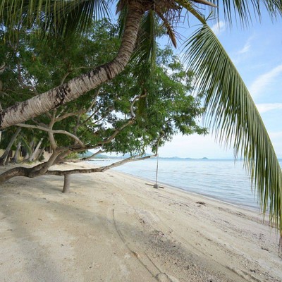 สระว่ายน้ำ/ชายหาด