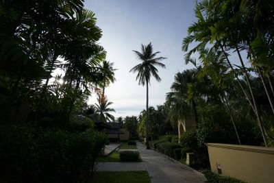 บริเวณโดยรอบ