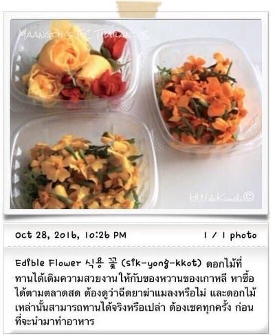 วิธีทำ วัตถุดิบอาหารเกาหลี (2) /Ingredients For Korean Cooking (2)