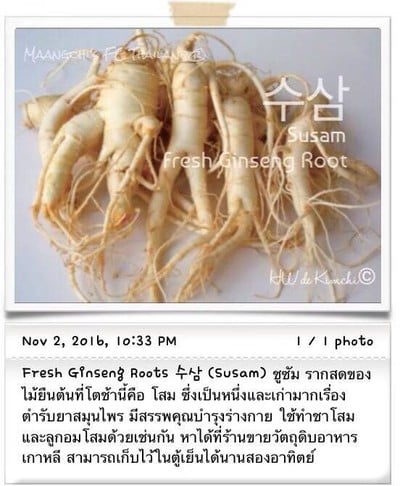 วิธีทำ วัตถุดิบอาหารเกาหลี (2) /Ingredients For Korean Cooking (2)