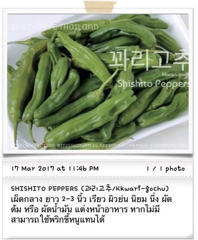 วิธีทำ วัตถุดิบอาหารเกาหลี (3)/Ingredients For Korean Cooking (3)