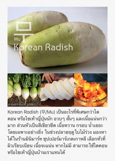 วิธีทำ วัตถุดิบอาหารเกาหลี (3)/Ingredients For Korean Cooking (3)