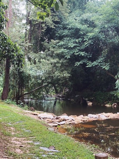 แคมป์ไฟ คาเฟ่ เขาใหญ่