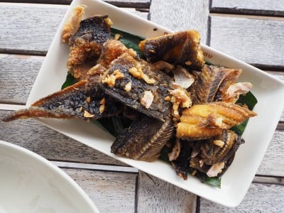 ปลาดุกแดดเดียว