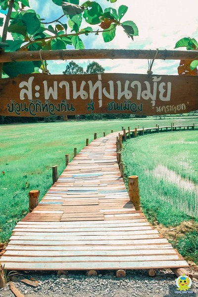 สะพานทุ่งนามุ้ย @นครนายก
#ทัวร์เที่ยวไทย