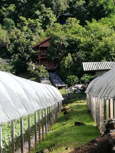 โฮมสเตย์ไร่สุพจน์ผาหมอน อ.จอมทอง (ดอยอินทนนท์)