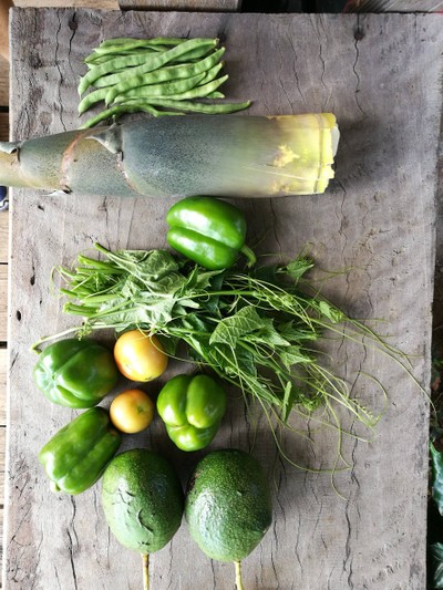 โฮมสเตย์ไร่สุพจน์ผาหมอน อ.จอมทอง (ดอยอินทนนท์)