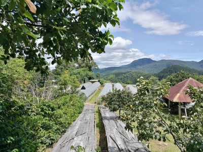 โฮมสเตย์ไร่สุพจน์ผาหมอน อ.จอมทอง (ดอยอินทนนท์)