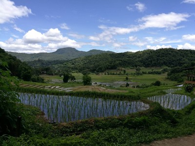 โฮมสเตย์ไร่สุพจน์ผาหมอน อ.จอมทอง (ดอยอินทนนท์)