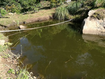 โฮมสเตย์ไร่สุพจน์ผาหมอน อ.จอมทอง (ดอยอินทนนท์)