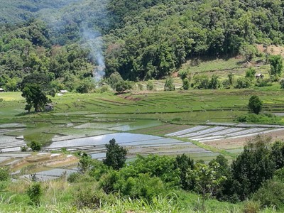 โฮมสเตย์ไร่สุพจน์ผาหมอน อ.จอมทอง (ดอยอินทนนท์)