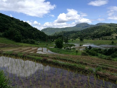 โฮมสเตย์ไร่สุพจน์ผาหมอน อ.จอมทอง (ดอยอินทนนท์)