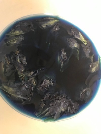 วิธีทำ น้ำดอกอัญชันเข้มข้น สำหรับทำขนม วิธีทำ น้ำดอกอัญชันเข้มข้น สำหรับทำขนม