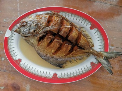 อาหาร หรือ เครื่องดื่ม