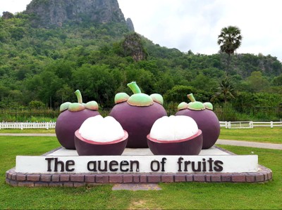 ผลไม้ยักษ์ใหญ่