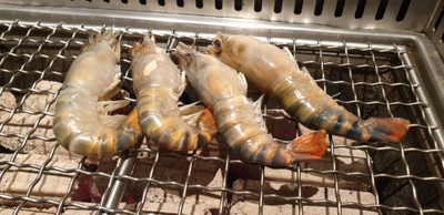 กุ้งแม่น้ำ