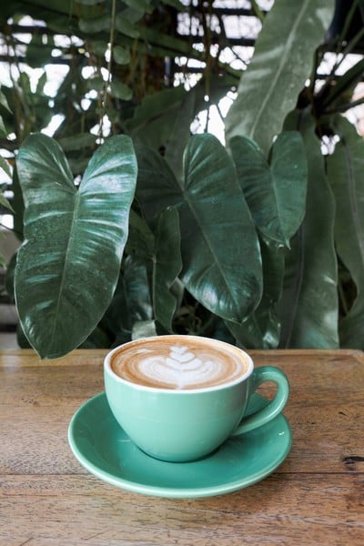 Garden Cafe