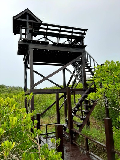 หอชมวิว