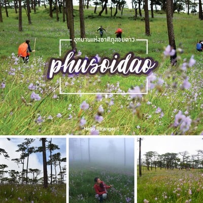 เที่ยวทั่วไทยให้หายคิดถึง กับ 30 สถานที่ท่องเที่ยวและที่พัก