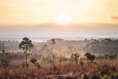 ออกไปกอดทะเลหมอก...ออกไปเที่ยวจังหวัดเพชรบูรณ์