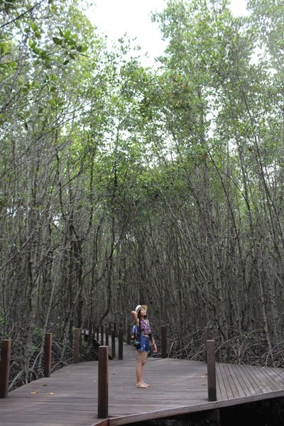 สูดโอโซน