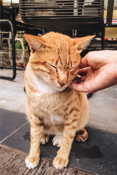 ออกไปกอดทะเลหมอก...ออกไปเที่ยวจังหวัดเพชรบูรณ์