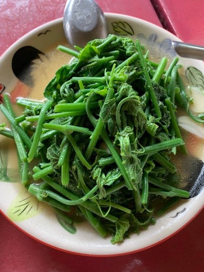 ยอดผักแม้ว