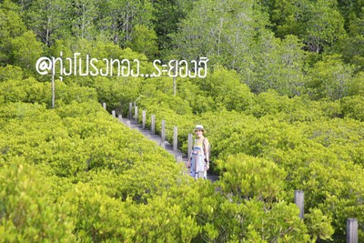 ความประทับใจ