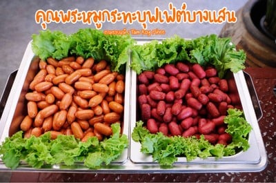 MINI BEAR - 小熊 บางเเสน