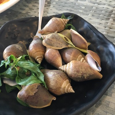 หอยชักตีน