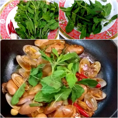 how to cook หอยลายผัดใบกะเพรา