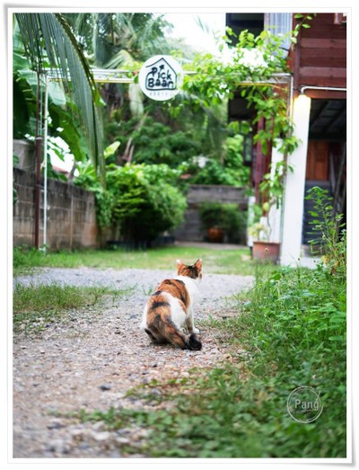 บริเวณโดยรอบ