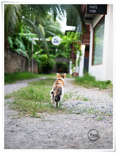 บริเวณโดยรอบ