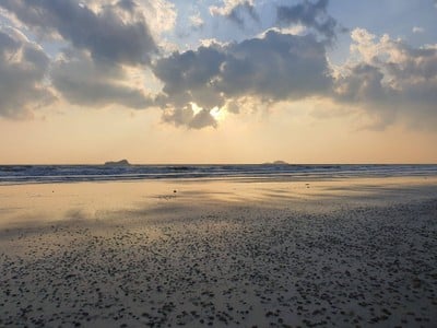 ขอบตุณภาพจากคุณ "ใบหม่อน"