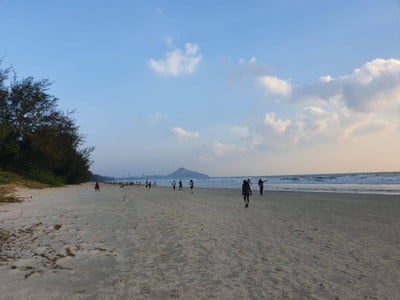 ขอบตุณภาพจากคุณ "ใบหม่อน"