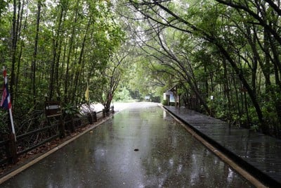 บรรยากาศ