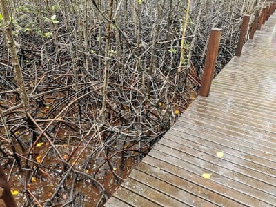 บรรยากาศ