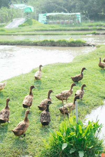 บรรยากาศ ไร่ปลูกรัก จ.ราชบุรี