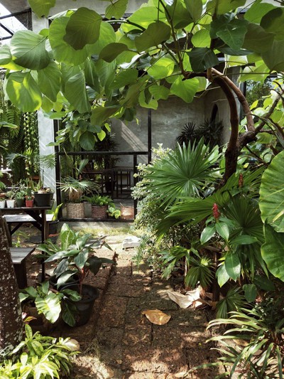 บรรยากาศ