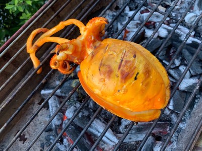 หมึกกระดองย่าง