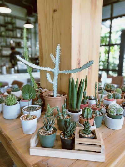 บรรยากาศ