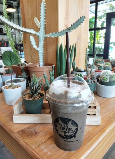 ชาเขียวโฮจิฉะเย็น