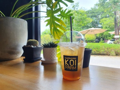 ชาแอปเปิ้ล