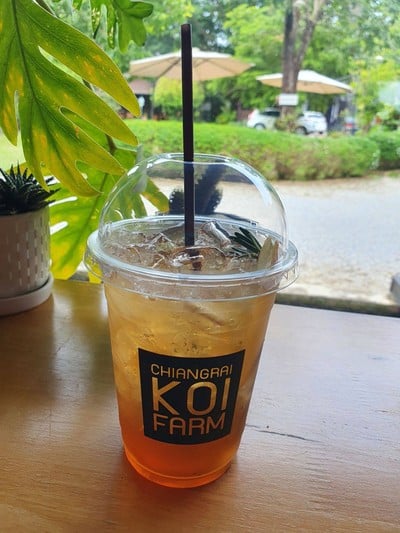 ชาแอปเปิ้ล