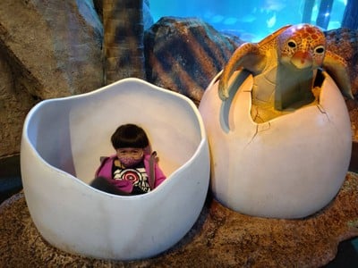 Sea Life Melbourne Aquarium