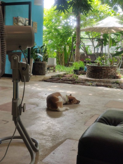 บรรยากาศ
